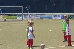 IMG-20190623-WA0013