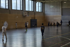 03cdf050-fd42-4490-85e5-75adb2c9c7fa