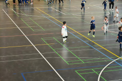 2d85b486-7bb1-4de9-a9c9-a8cc50ec0b91